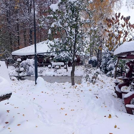 Pensiunea Emma Sîmbăta de Sus Exteriör bild