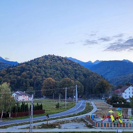 Pensiunea Emma Sîmbăta de Sus Exteriör bild